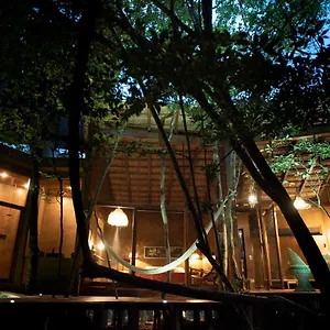 Ojo De árbol, Boutique In The Jungle. Relax Villa Tulum